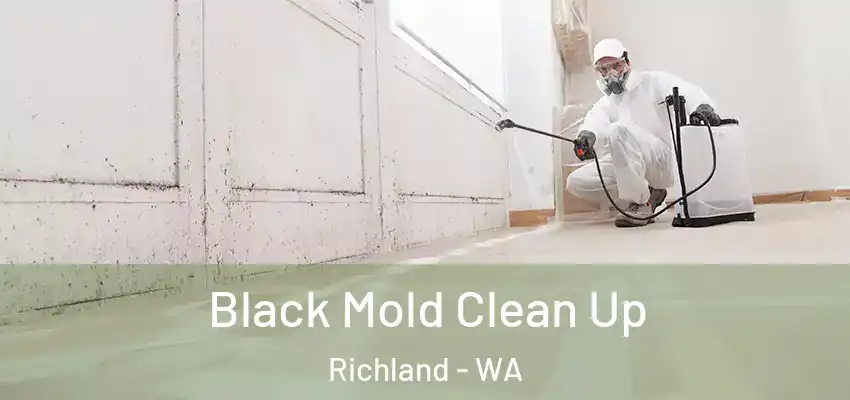 Black Mold Clean Up Richland - WA