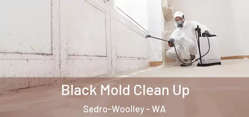  Black Mold Clean Up Sedro-Woolley - WA