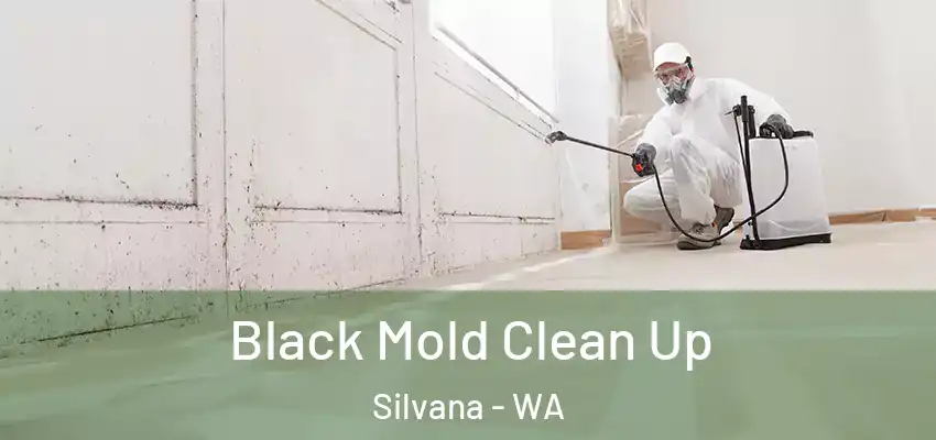 Black Mold Clean Up Silvana - WA