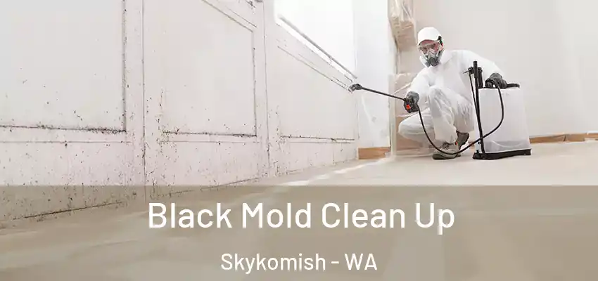  Black Mold Clean Up Skykomish - WA