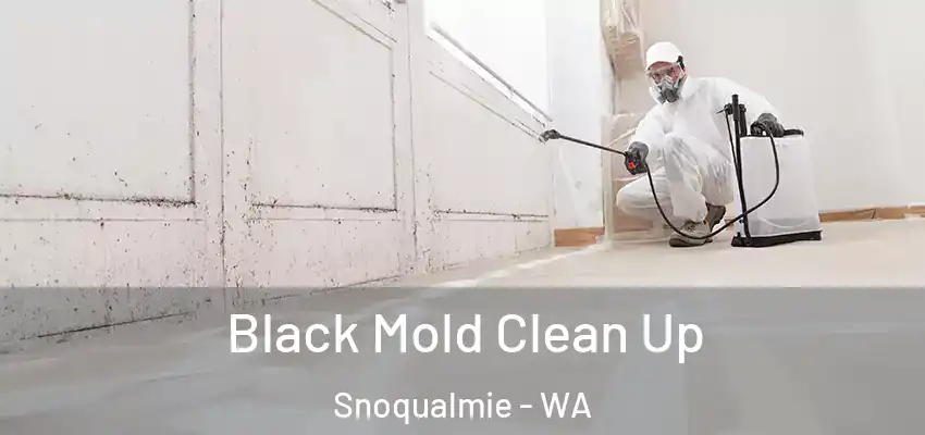  Black Mold Clean Up Snoqualmie - WA