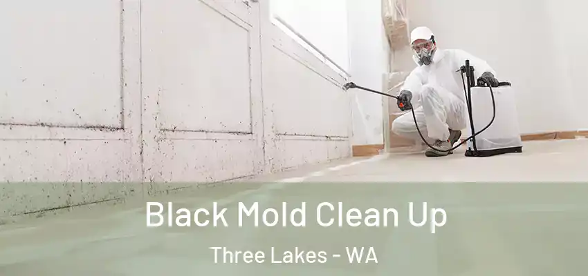  Black Mold Clean Up Three Lakes - WA