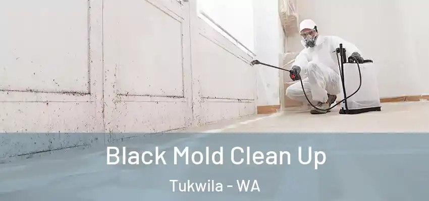  Black Mold Clean Up Tukwila - WA