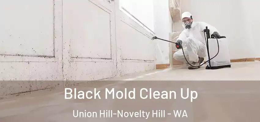  Black Mold Clean Up Union Hill-Novelty Hill - WA