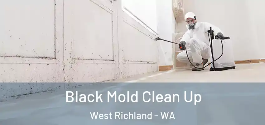  Black Mold Clean Up West Richland - WA