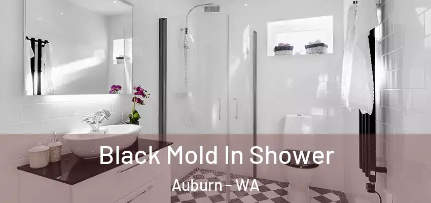  Black Mold In Shower Auburn - WA