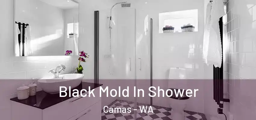  Black Mold In Shower Camas - WA
