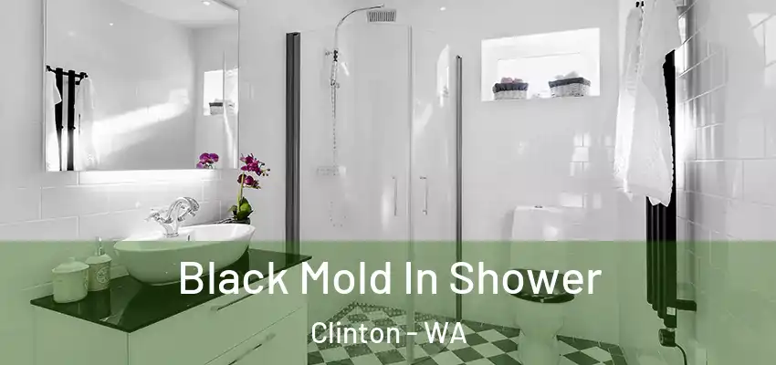  Black Mold In Shower Clinton - WA