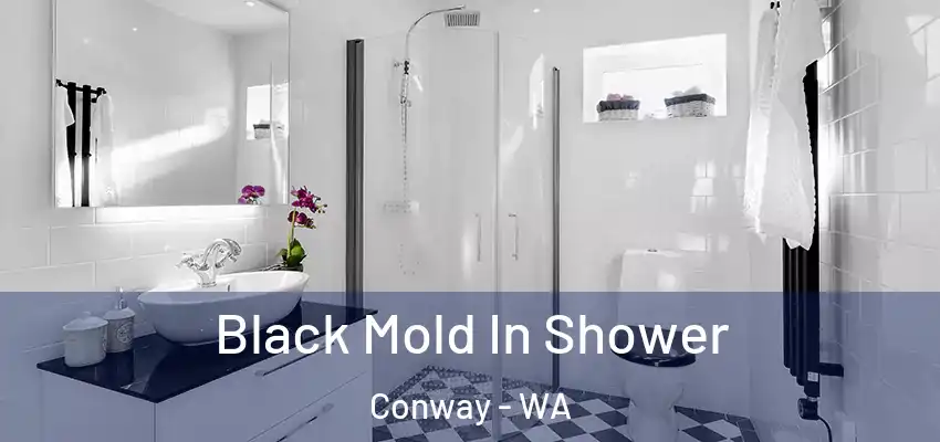  Black Mold In Shower Conway - WA