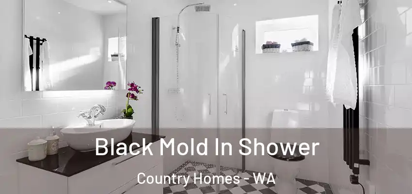 Black Mold In Shower Country Homes - WA