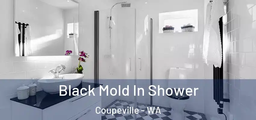  Black Mold In Shower Coupeville - WA