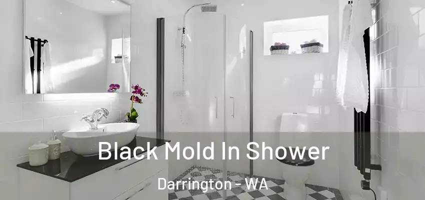  Black Mold In Shower Darrington - WA