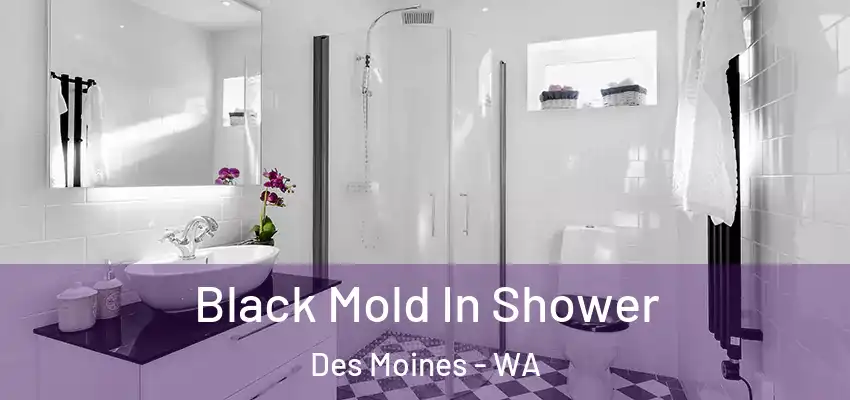  Black Mold In Shower Des Moines - WA