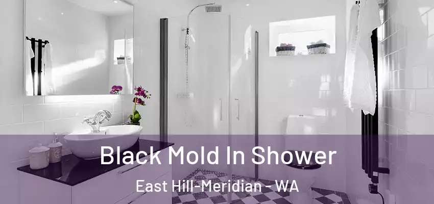  Black Mold In Shower East Hill-Meridian - WA