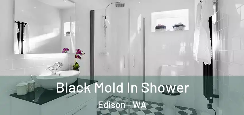 Black Mold In Shower Edison - WA