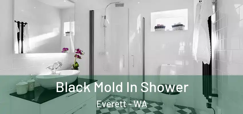  Black Mold In Shower Everett - WA