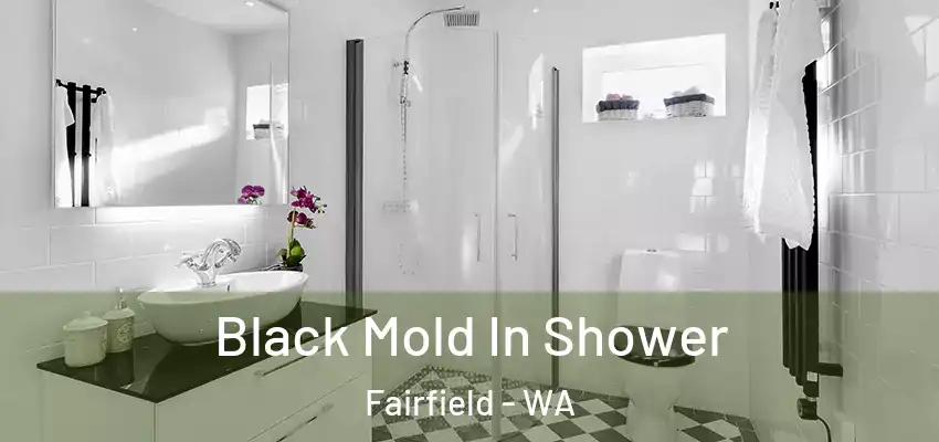  Black Mold In Shower Fairfield - WA