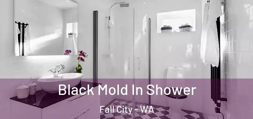  Black Mold In Shower Fall City - WA
