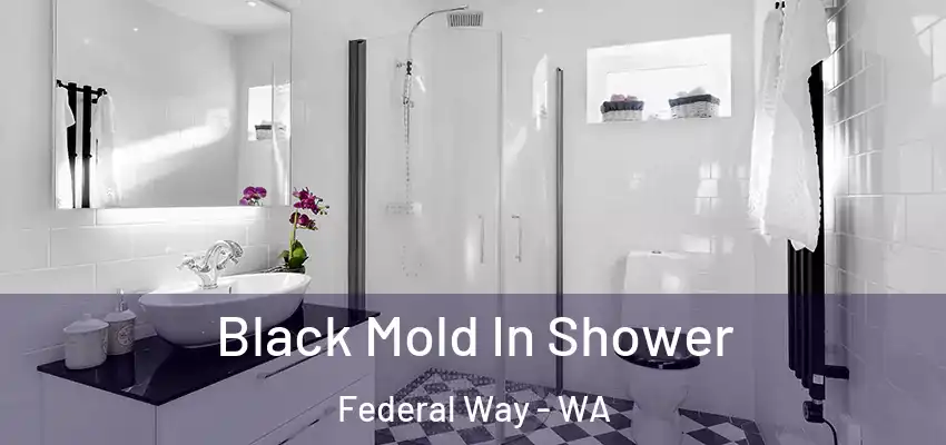  Black Mold In Shower Federal Way - WA