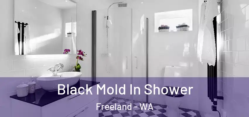  Black Mold In Shower Freeland - WA
