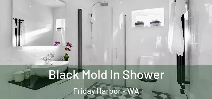  Black Mold In Shower Friday Harbor - WA