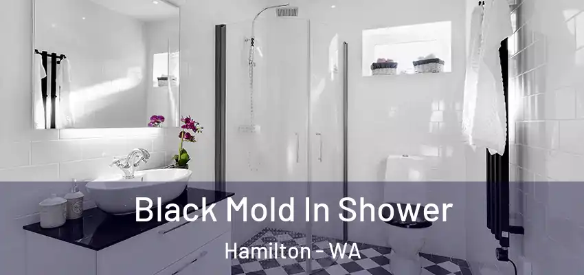  Black Mold In Shower Hamilton - WA