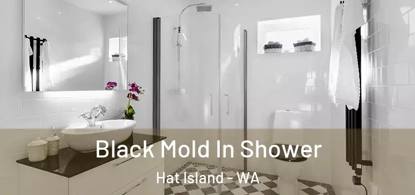 Black Mold In Shower Hat Island - WA