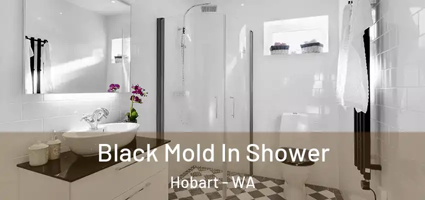  Black Mold In Shower Hobart - WA