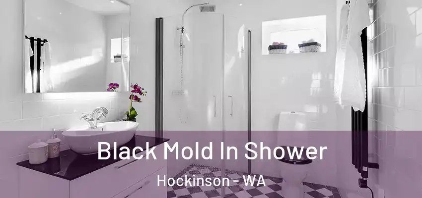 Black Mold In Shower Hockinson - WA