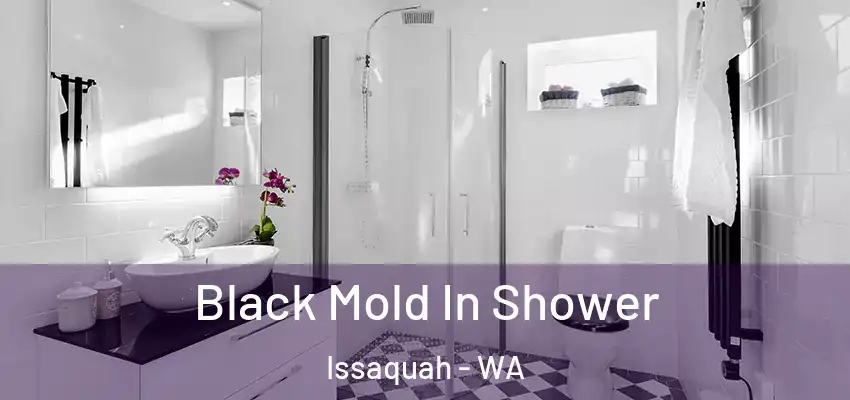 Black Mold In Shower Issaquah - WA