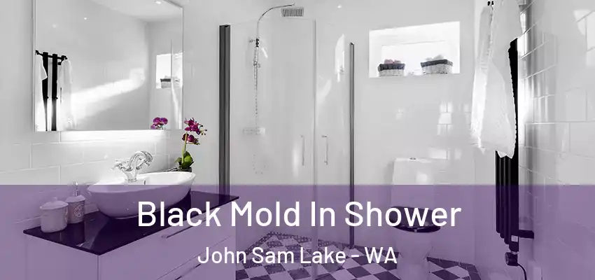 Black Mold In Shower John Sam Lake - WA