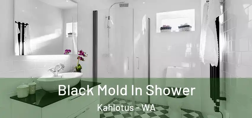  Black Mold In Shower Kahlotus - WA