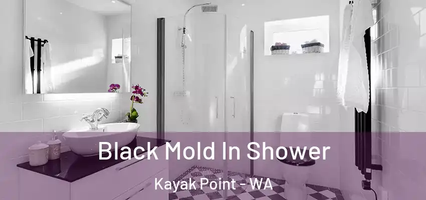 Black Mold In Shower Kayak Point - WA