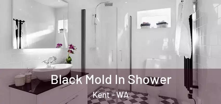  Black Mold In Shower Kent - WA