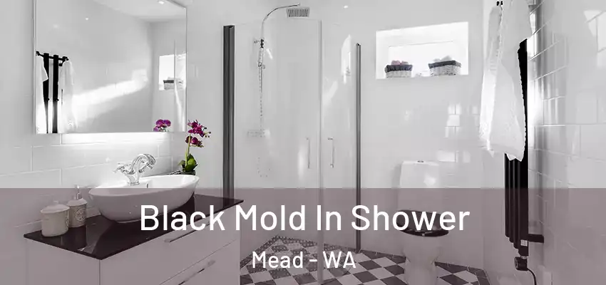  Black Mold In Shower Mead - WA