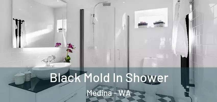 Black Mold In Shower Medina - WA