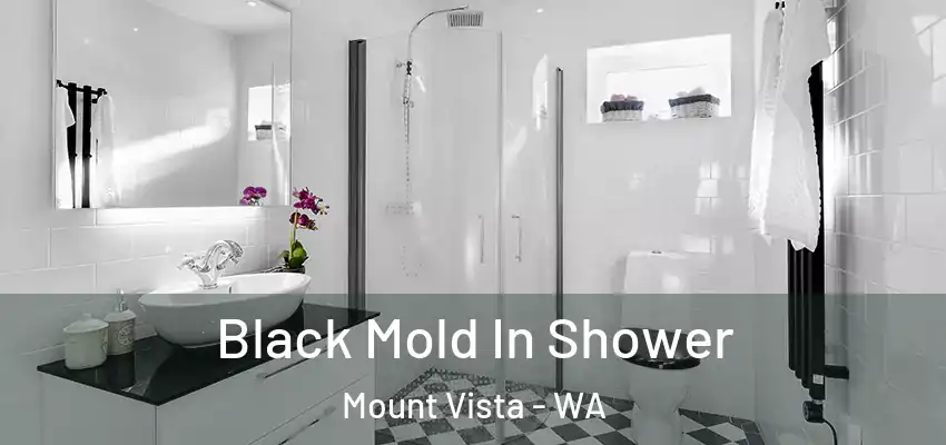  Black Mold In Shower Mount Vista - WA