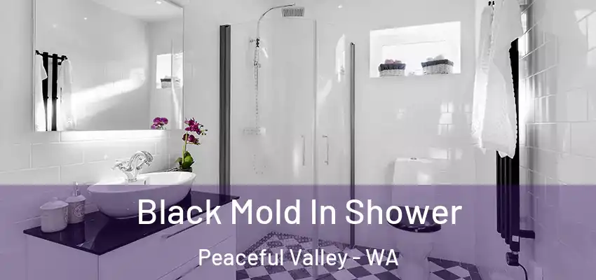  Black Mold In Shower Peaceful Valley - WA