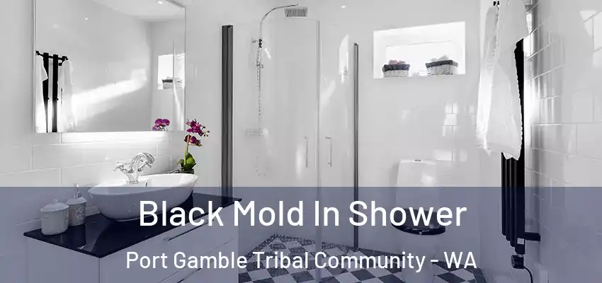  Black Mold In Shower Port Gamble Tribal Community - WA