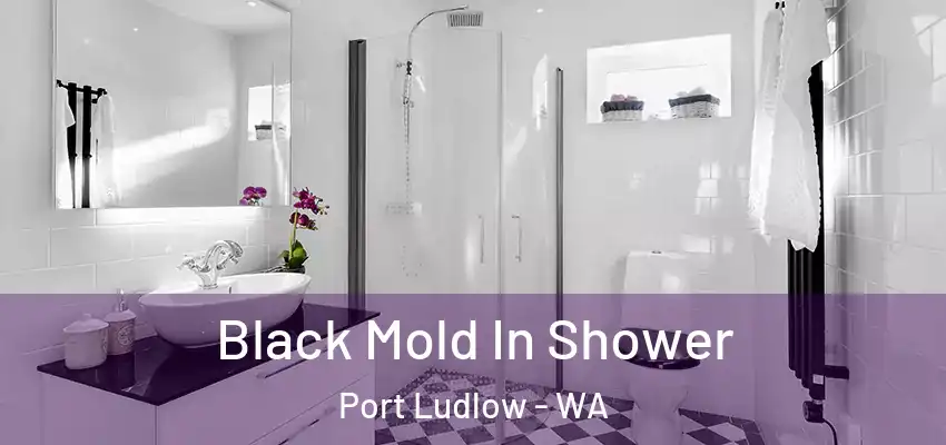  Black Mold In Shower Port Ludlow - WA