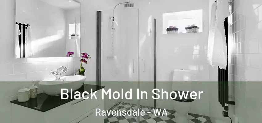  Black Mold In Shower Ravensdale - WA