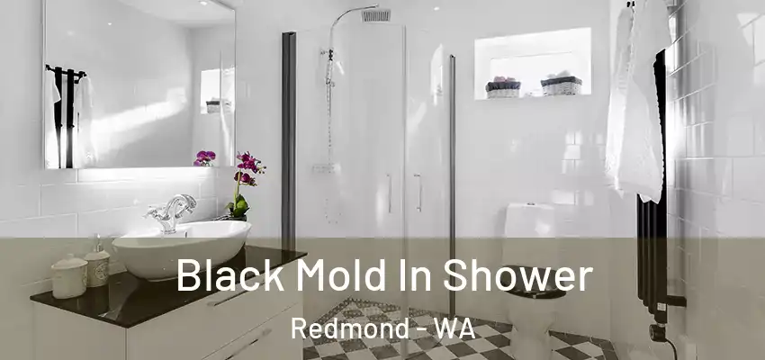  Black Mold In Shower Redmond - WA