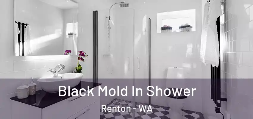  Black Mold In Shower Renton - WA