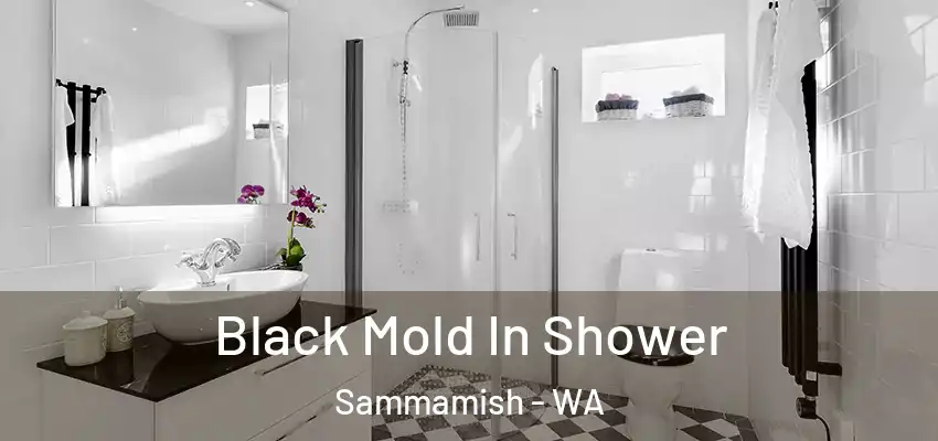 Black Mold In Shower Sammamish - WA