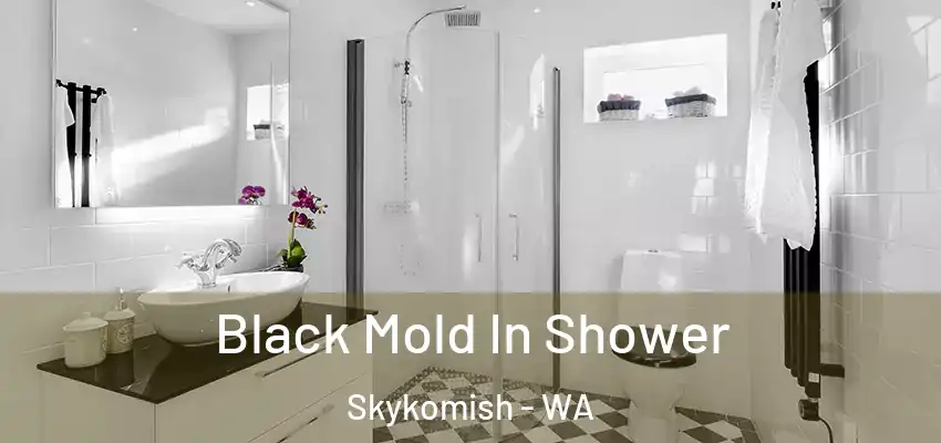  Black Mold In Shower Skykomish - WA
