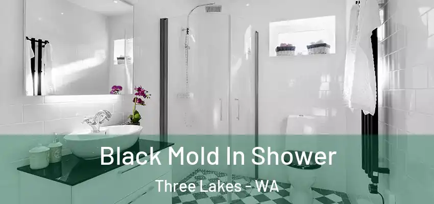  Black Mold In Shower Three Lakes - WA