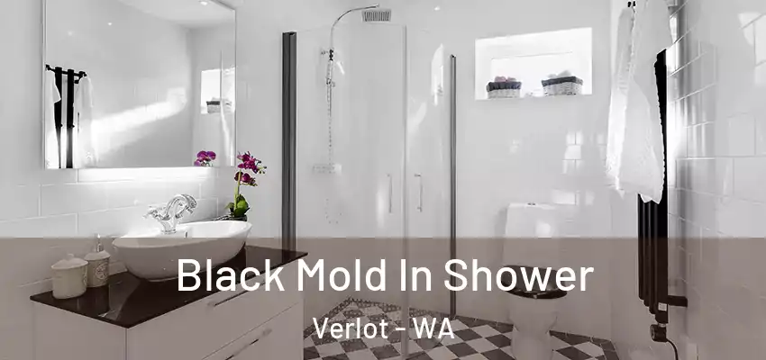Black Mold In Shower Verlot - WA