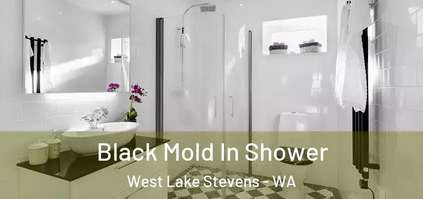  Black Mold In Shower West Lake Stevens - WA