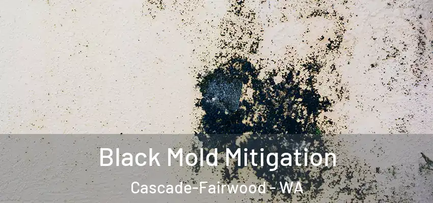  Black Mold Mitigation Cascade-Fairwood - WA