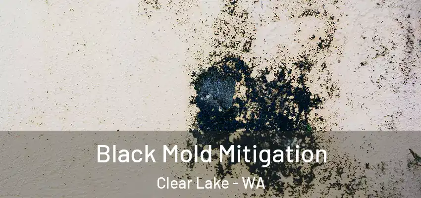  Black Mold Mitigation Clear Lake - WA